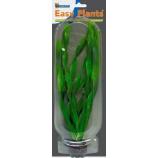 Easy Plants High NR6